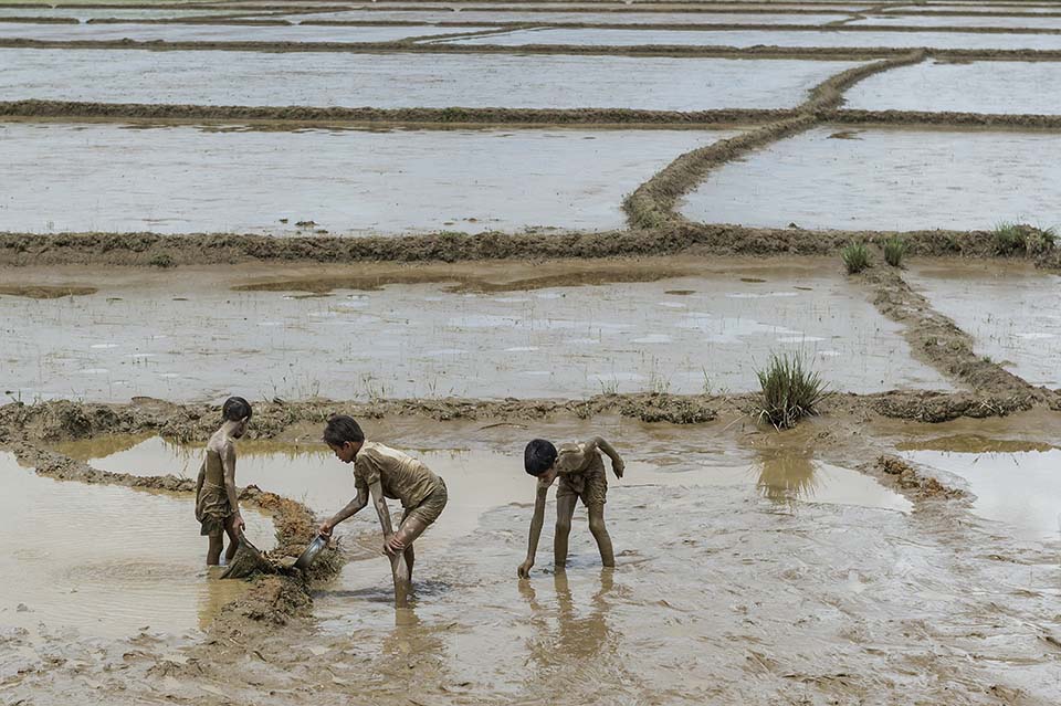 Burma_2015_01461.jpg