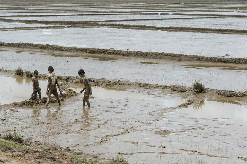Burma_2015_01463.jpg