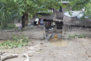 Burma_2015_01493.jpg