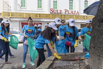 FMI_2018_03096.jpg