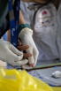 YOMA_CSR_2024_00482.jpg