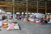 YOMA_CSR_2025_00250.jpg