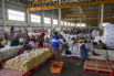 YOMA_CSR_2025_00315.jpg