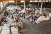 YOMA_CSR_2025_00947.jpg