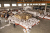 YOMA_CSR_2025_00959.jpg