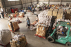 YOMA_CSR_2025_01032.jpg
