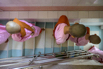 YSH_CSR_2026_01776.jpg