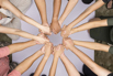 YSH_Hands_2024_017.jpg