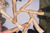 YSH_Hands_2024_043.jpg