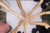 YSH_Hands_2024_056.jpg