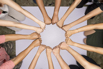 YSH_Hands_2024_070.jpg
