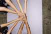 YSH_Hands_2024_110.jpg