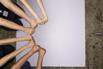 YSH_Hands_2024_116.jpg