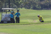 PHGE_2016_06785.jpg