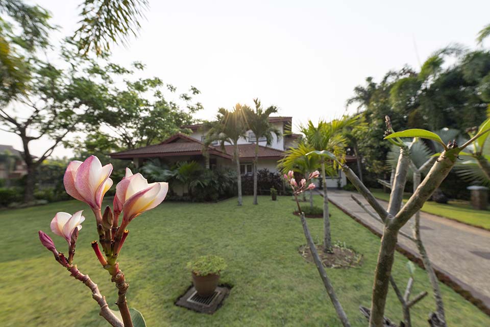PHGE_2019_00417.jpg