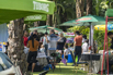 PHGE_2017_09746.jpg