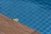 PHGE_2017_06565.jpg