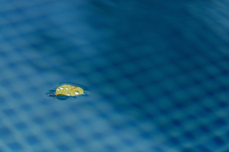 PHGE_2017_06567.jpg