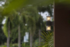 PHGE_2017_06576.jpg