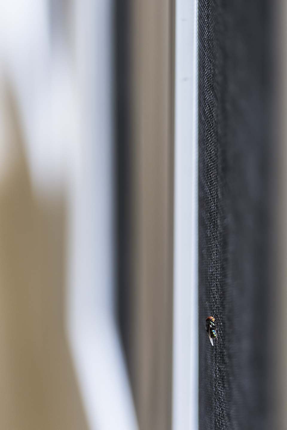 PHGE_2017_06585.jpg