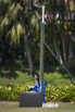 PHGE_2017_04192.jpg