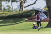 PHGE_2017_11355.jpg