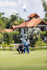 PHGE_2019_02338.jpg