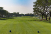 PHGE_2017_04655.jpg