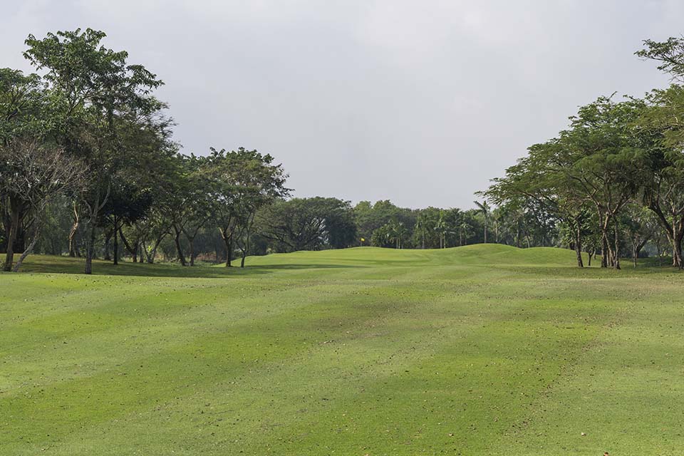 PHGE_2017_04700.jpg