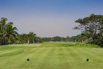 PHGE_2017_04652.jpg
