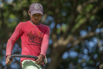 PHGE_2016_01917.jpg