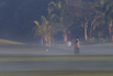 PHGE_2017_03583.jpg