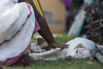 PHGE_2016_06374.jpg