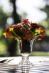 PHGE_2017_09155.jpg