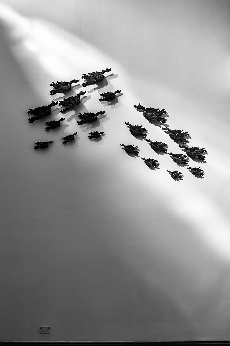 PHGE_2017_00082.jpg