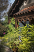 PHGE_2017_00248.jpg