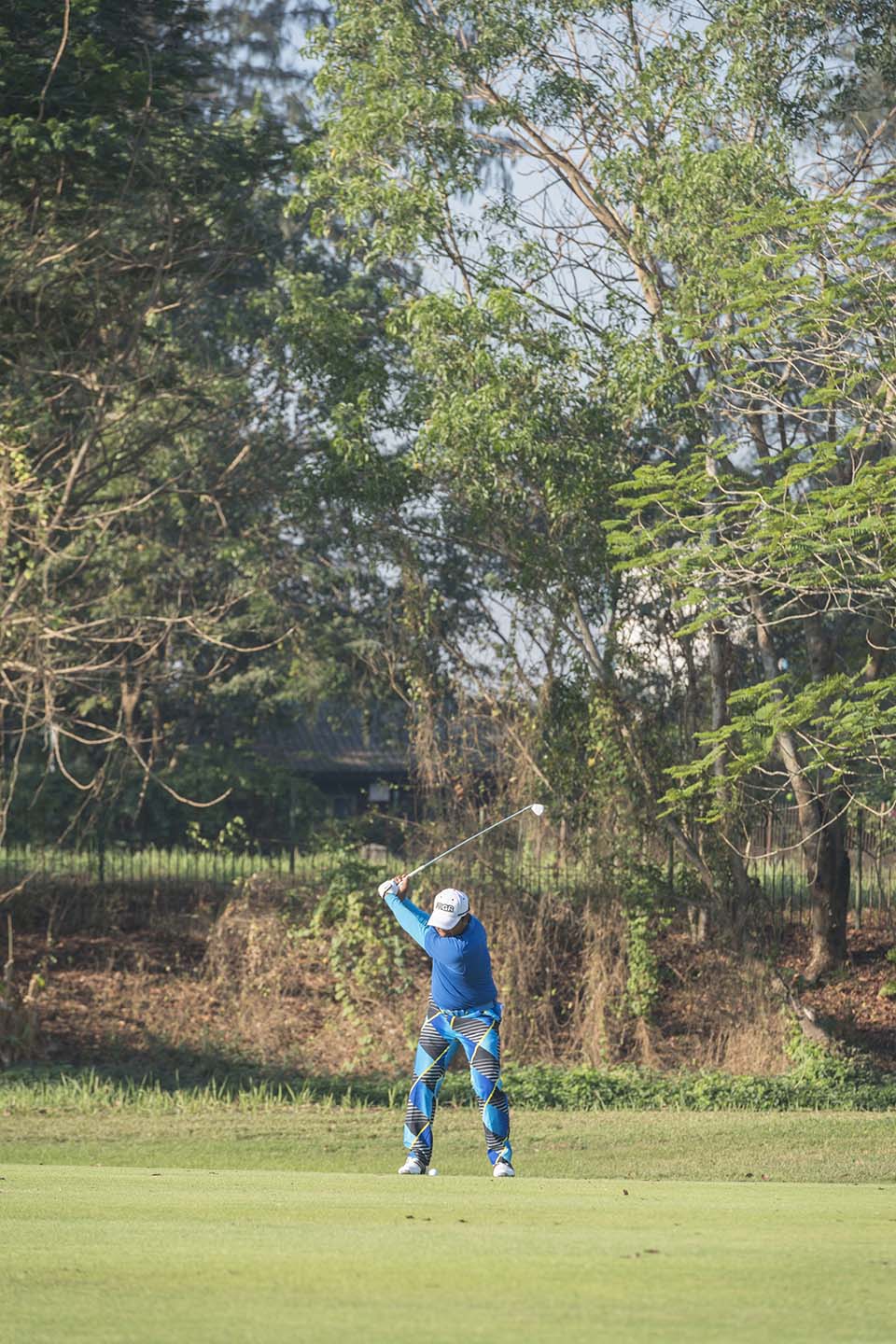 PHGE_2017_00586.jpg