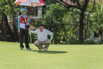 YOMA_2016_05290.jpg