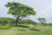 SPA_StarCity_GolfCourse_0018.jpg