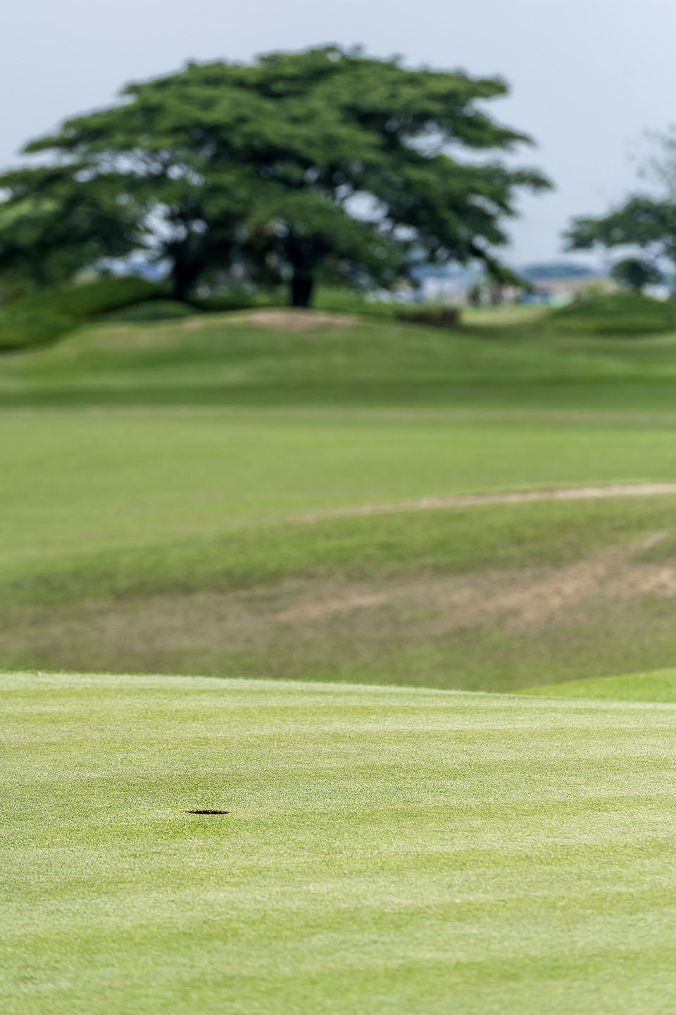 SPA_StarCity_GolfCourse_0022.jpg