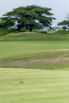 SPA_StarCity_GolfCourse_0022.jpg