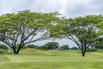 SPA_StarCity_GolfCourse_0024.jpg