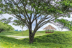 SPA_StarCity_GolfCourse_0047.jpg