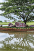SPA_StarCity_GolfCourse_0061.jpg