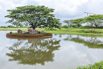 SPA_StarCity_GolfCourse_0062.jpg