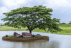 SPA_StarCity_GolfCourse_0074.jpg