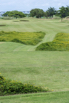 SPA_StarCity_GolfCourse_0091.jpg