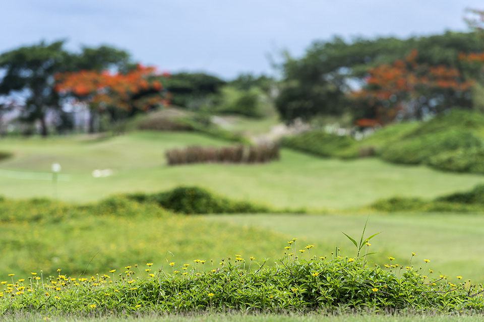 SPA_StarCity_GolfCourse_0096.jpg