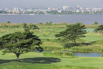Star City_2014_3088.jpg