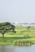 Star City_2014_3292.jpg